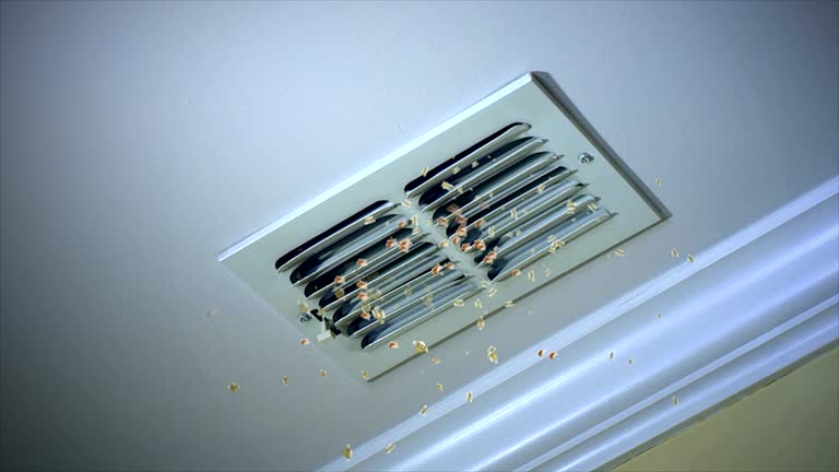 Best Best Air Duct Cleaning Company  in West Wendover, NV